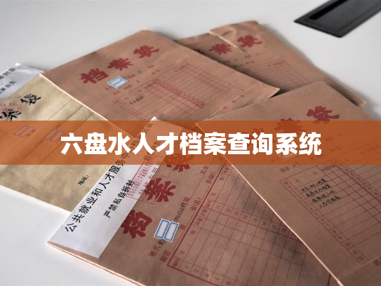 六盘水人才档案查询系统