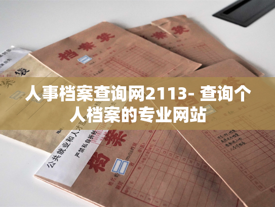 人事档案查询网2113- 查询个人档案的专业网站