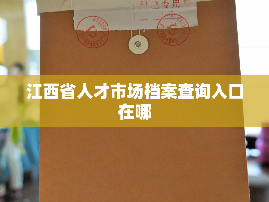 江西省人才市场档案查询入口在哪