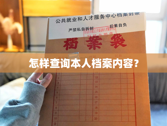 怎样查询本人档案内容？