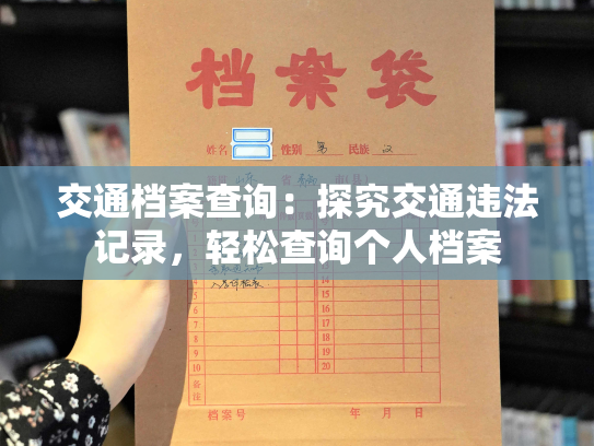 交通档案查询：探究交通违法记录，轻松查询个人档案