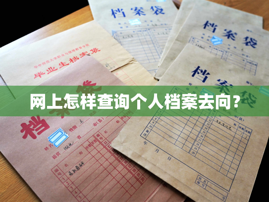 网上怎样查询个人档案去向？