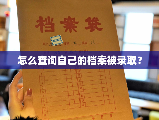 怎么查询自己的档案被录取？
