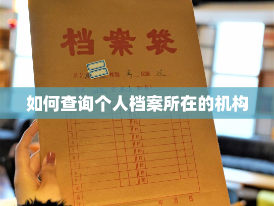 如何查询个人档案所在的机构
