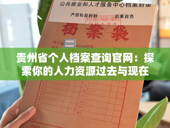 贵州省个人档案查询官网：探索你的人力资源过去与现在