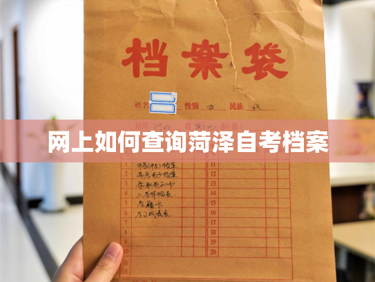 网上如何查询菏泽自考档案