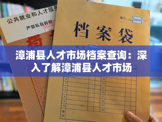 漳浦县人才市场档案查询：深入了解漳浦县人才市场