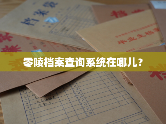 零陵档案查询系统在哪儿？