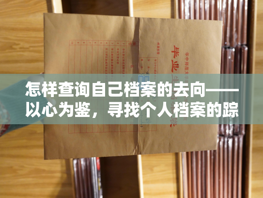 怎样查询自己档案的去向——以心为鉴，寻找个人档案的踪迹