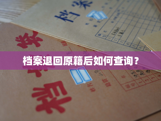 档案退回原籍后如何查询？