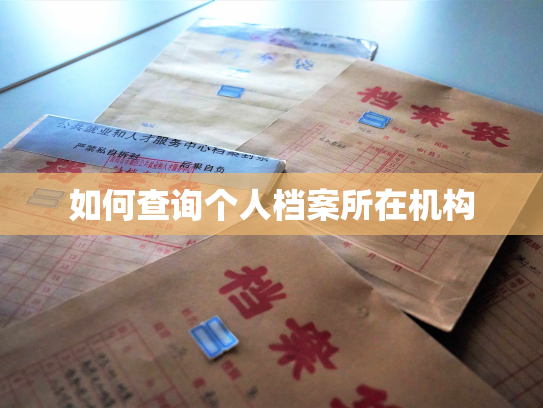如何查询个人档案所在机构