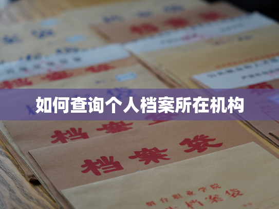 如何查询个人档案所在机构