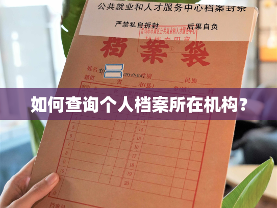 如何查询个人档案所在机构？