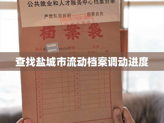 查找盐城市流动档案调动进度