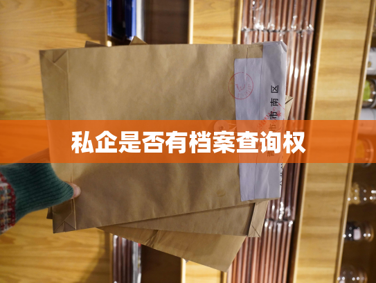私企是否有档案查询权