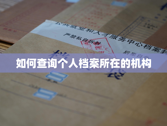 如何查询个人档案所在的机构