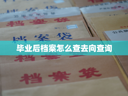 毕业后档案怎么查去向查询