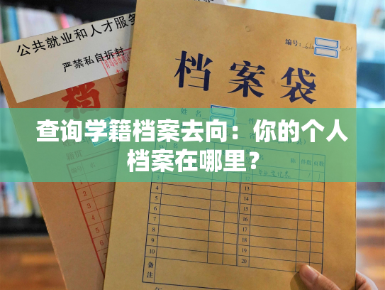 查询学籍档案去向：你的个人档案在哪里？