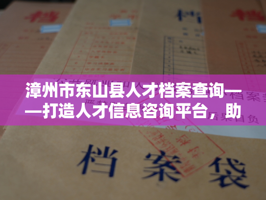 漳州市东山县人才档案查询——打造人才信息咨询平台，助力漳州市东山县企业发展！