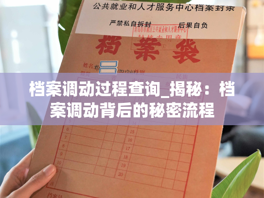 档案调动过程查询_揭秘：档案调动背后的秘密流程