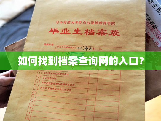 如何找到档案查询网的入口？
