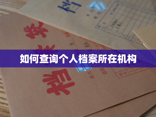 如何查询个人档案所在机构