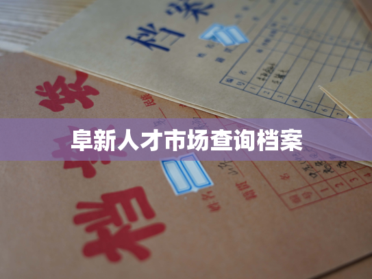 阜新人才市场查询档案