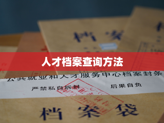 人才档案查询方法