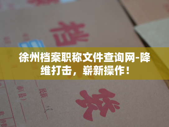 徐州档案职称文件查询网-降维打击，崭新操作！