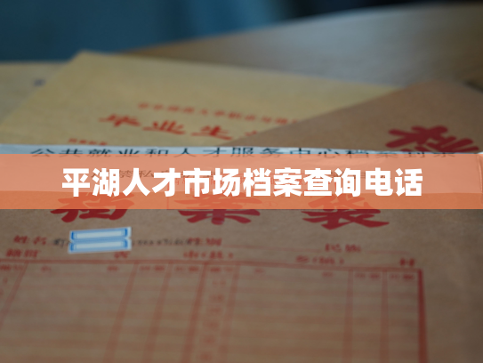 平湖人才市场档案查询电话