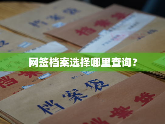 网签档案选择哪里查询？