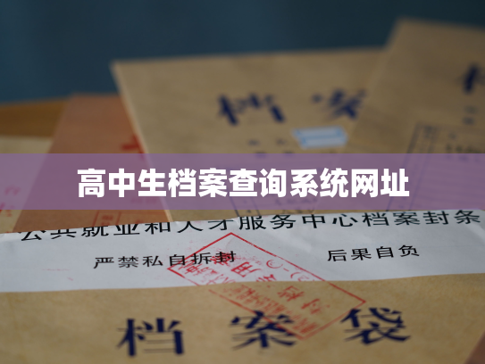 高中生档案查询系统网址