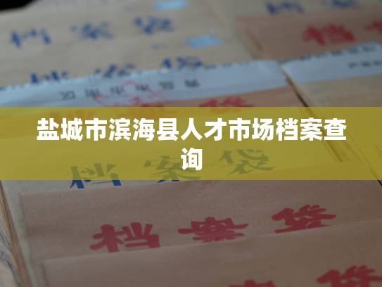 盐城市滨海县人才市场档案查询