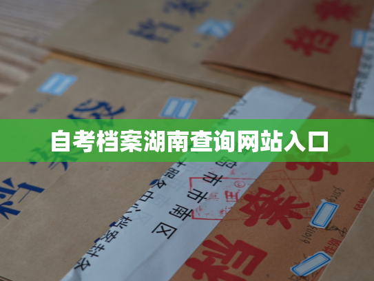 自考档案湖南查询网站入口