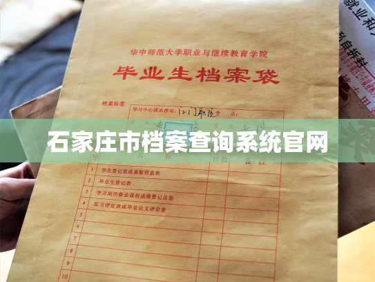 石家庄市档案查询系统官网