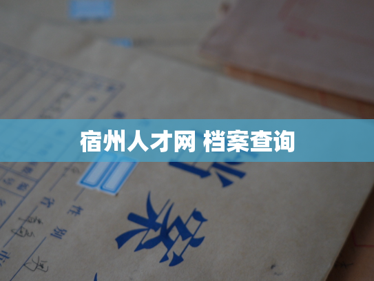 宿州人才网 档案查询