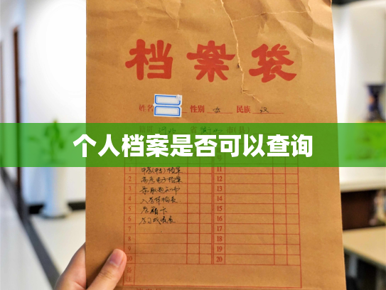 个人档案是否可以查询
