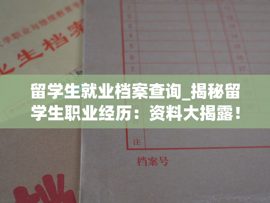 留学生就业档案查询_揭秘留学生职业经历：资料大揭露！