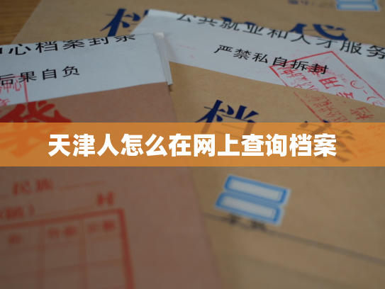天津人怎么在网上查询档案