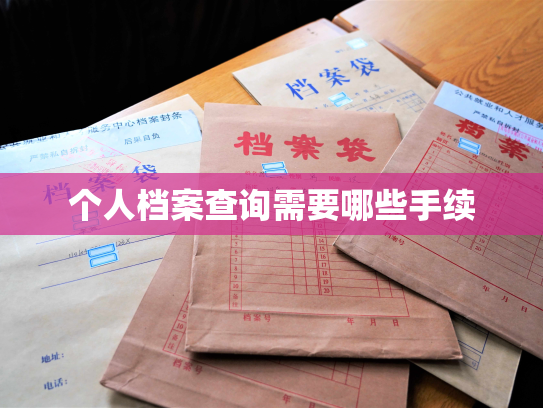 个人档案查询需要哪些手续