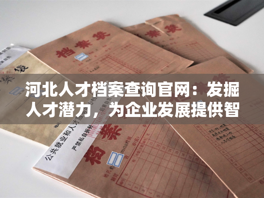 河北人才档案查询官网：发掘人才潜力，为企业发展提供智力支持