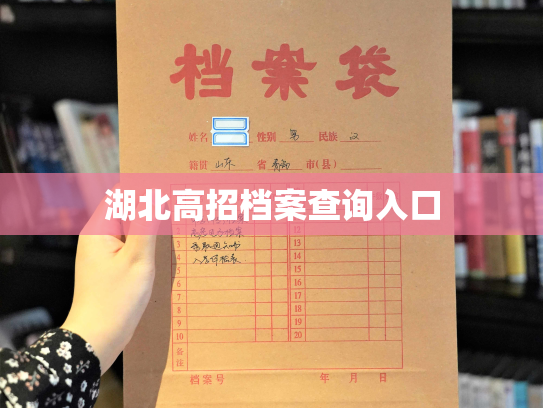湖北高招档案查询入口