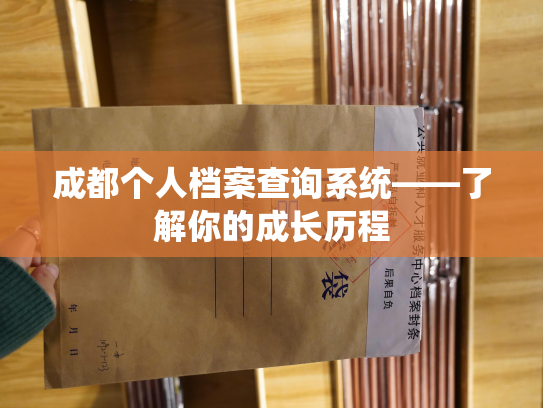 成都个人档案查询系统——了解你的成长历程