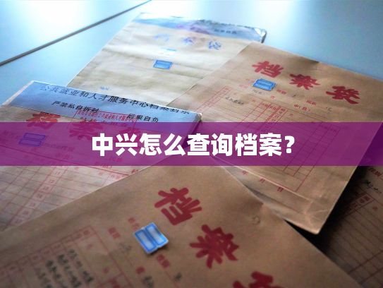 中兴怎么查询档案？