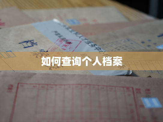 如何查询个人档案