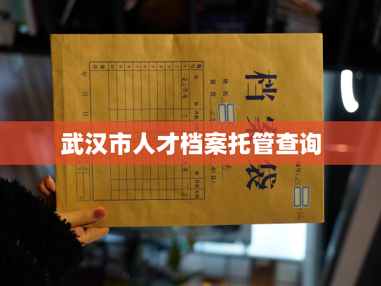 武汉市人才档案托管查询