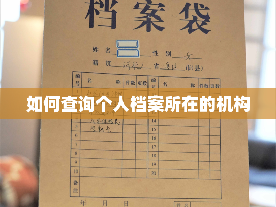如何查询个人档案所在的机构