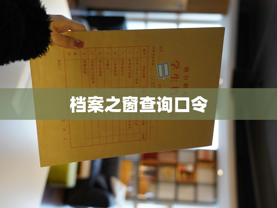 档案之窗查询口令