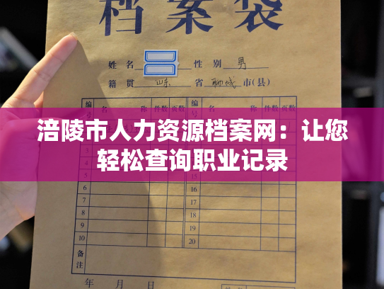 涪陵市人力资源档案网：让您轻松查询职业记录