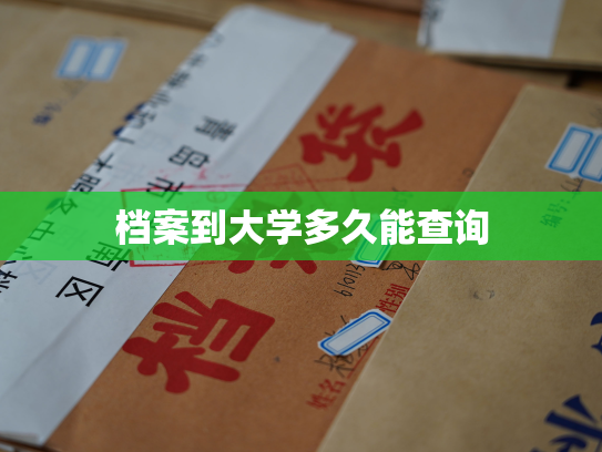 档案到大学多久能查询